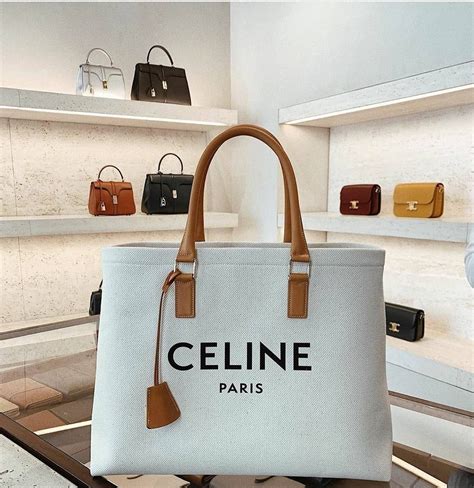 best celine bag to buy|Celine bags worth investing in.